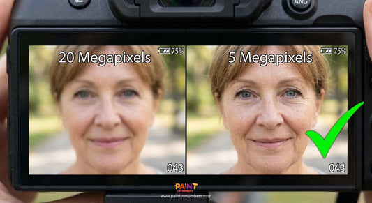 A comparison showing that a lower resolution photo in perfect focus is better for custom paint by numbers than a blurry high resolution photo.