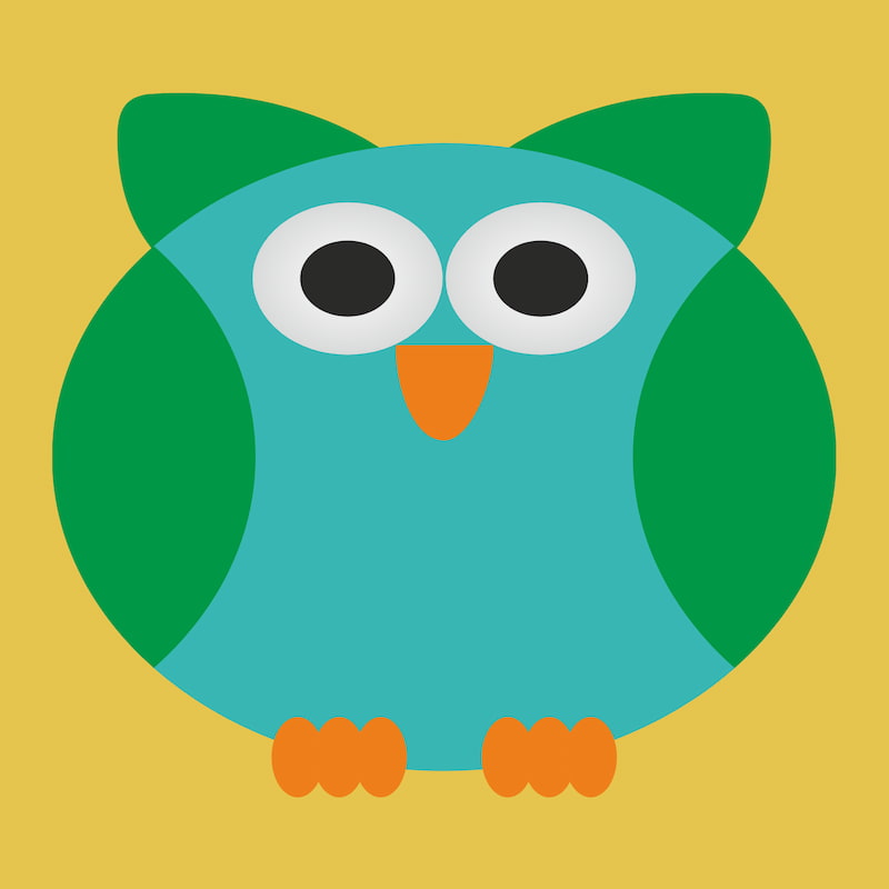 Cartoon-style turquoise owl with green wings and big round eyes on a yellow background in a kids’ paint by numbers design.