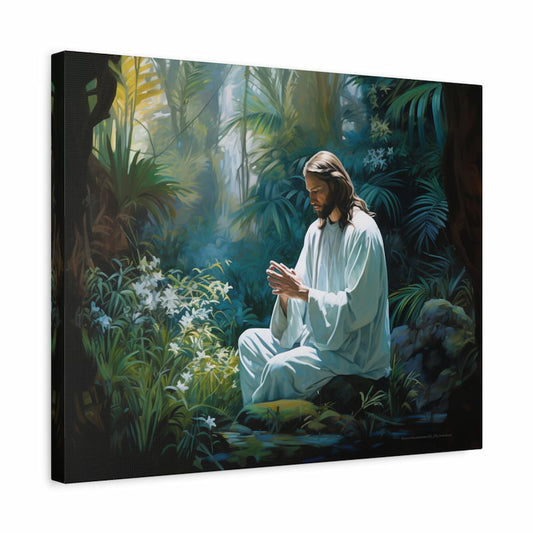 Paint by numbers kit of Jesus praying peacefully in a lush green garden with light shining around him shown in a frame