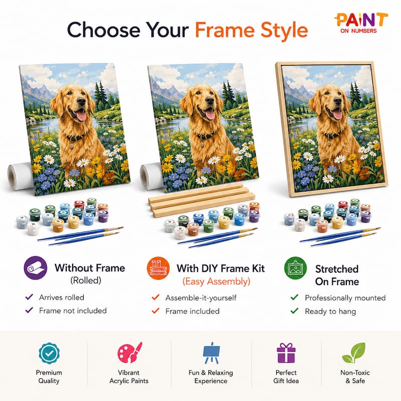 Comparison of Paint By Numbers frame options showing rolled canvas without frame, rolled canvas with DIY frame kit and wooden stretcher bars, and professionally stretched canvas on frame, each with paint pots and three brushes.